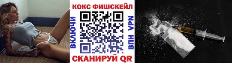 Кокаин FishScale  купить закладку  Верхотурье 