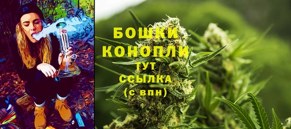 ешки Вяземский