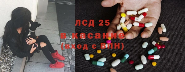 ешки Вяземский