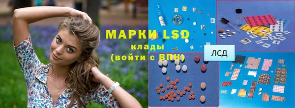 ешки Вяземский