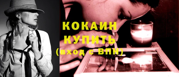 дживик Верхний Тагил